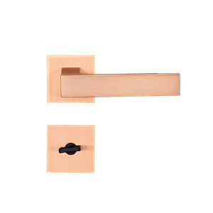 RGE -1-